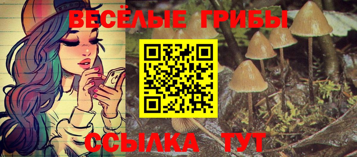 Изобильный  наркотики  Вход с VPN  Галлюциногенные грибы Psilocybine cubensis 